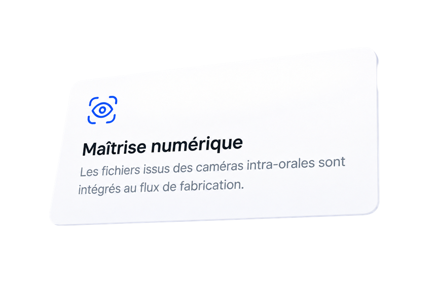 Maîtrise numérique